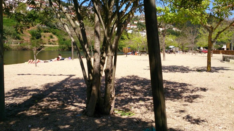 Bar da Praia Fluvial de Palheiros e Zorro em Coimbra