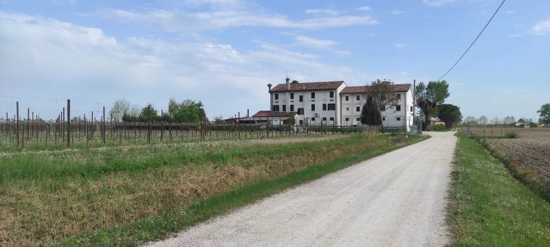 La Pioppa Agriturismo