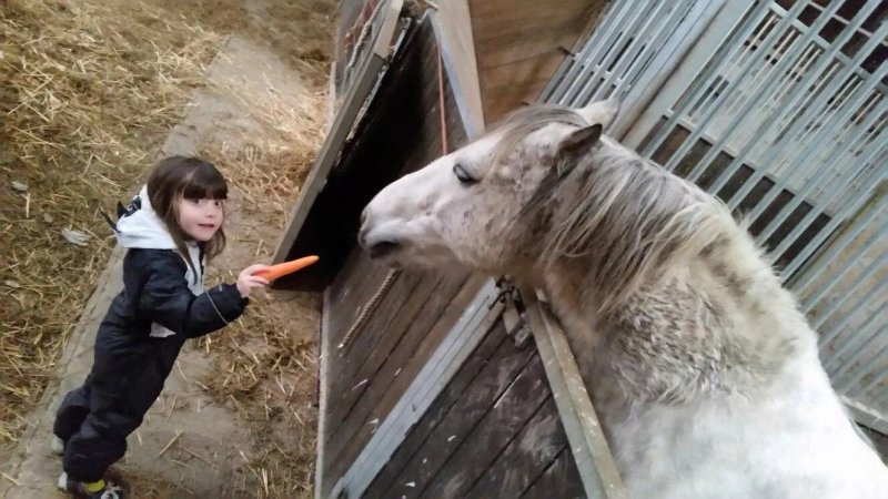 Squire Farm - Xidong & Squire Cottages