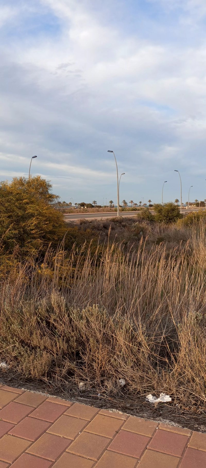 Occidental Mar Menor