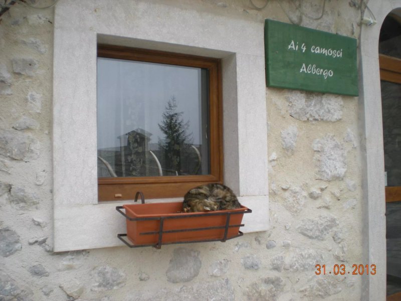 Albergo Ai 4 Camosci