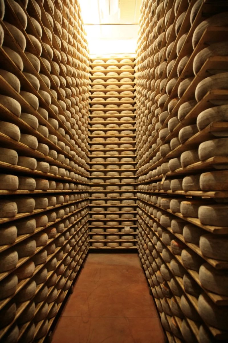 La Poiana Valle Grana Soc Agr Coop