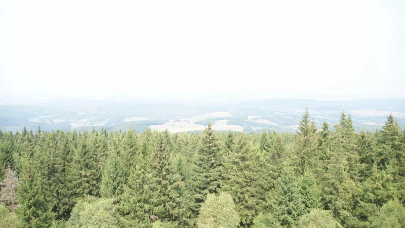 Carl-Alexander-Turm