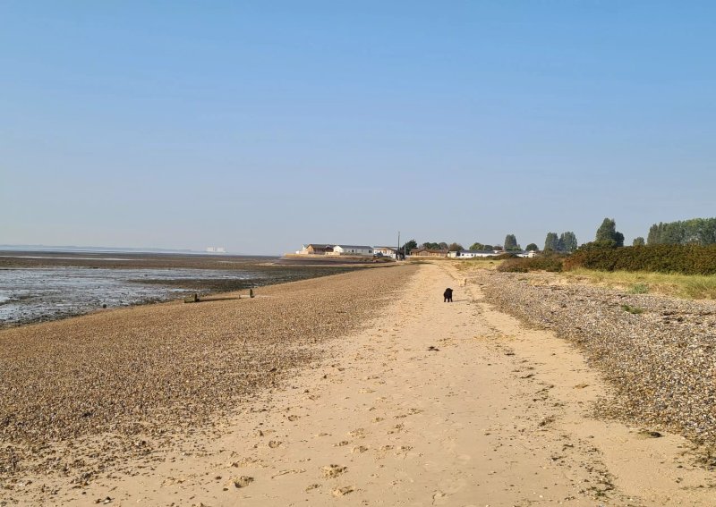Fen Farm Camping and Caravan Site