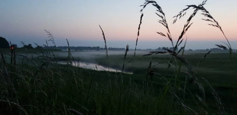 Mini Camping Het Wielseveld