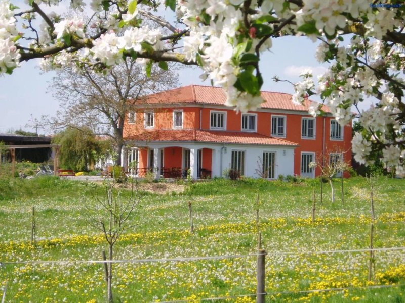 Weinhof am Nussbaum Gastehaus