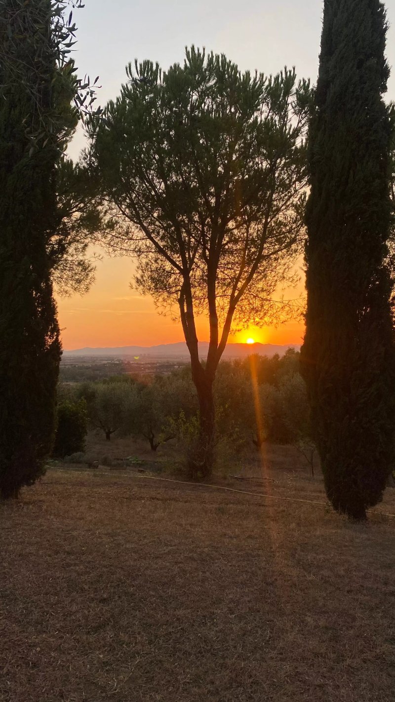 Agriturismo Rocca di Montorsoli