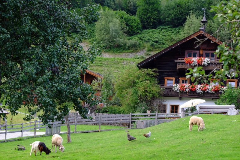 Proneben Gut