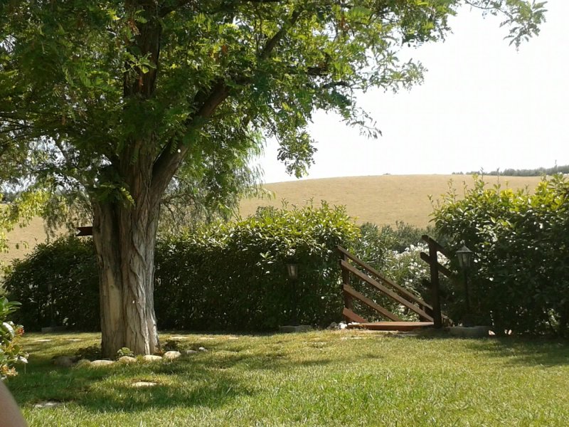 Agriturismo Fattoria Colle Luca