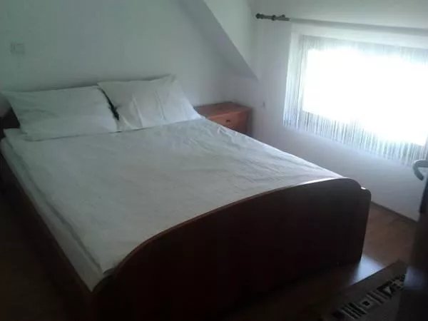Apartments "Vlasinski Vrtovi" Vlasinsko Lake