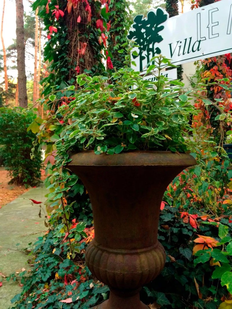 Villa le Matin