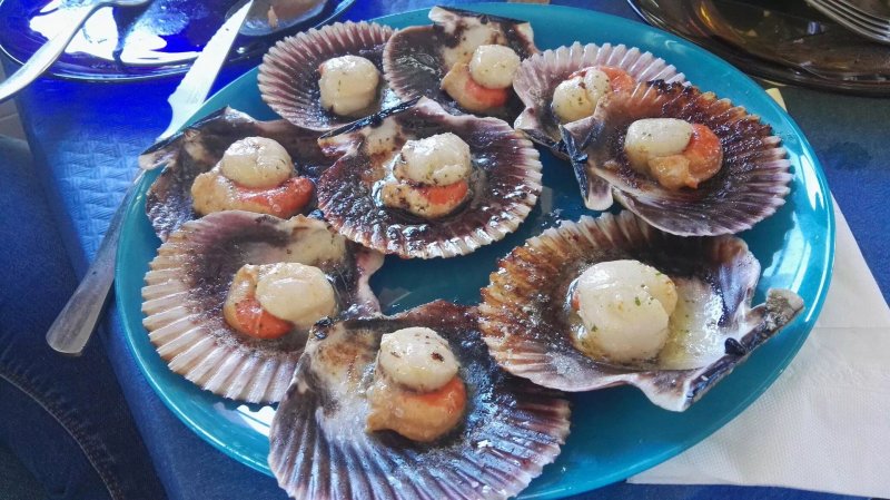 Bar La Gaviota - Raciones y tapas