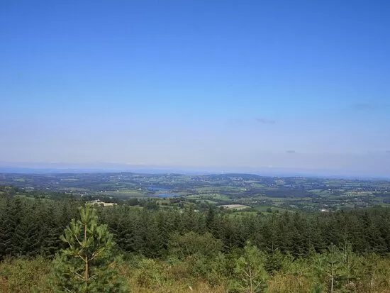 Belmore Forest - Pollnagollum Cave Walk