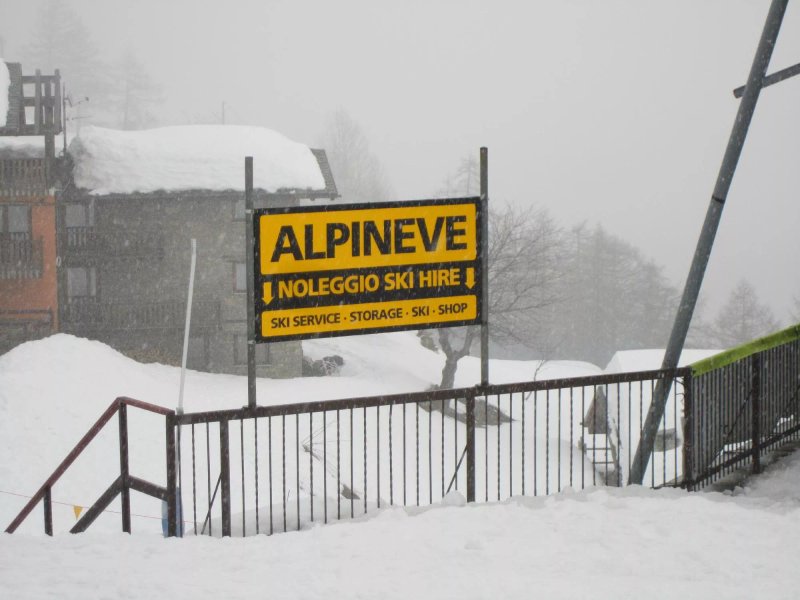 Alpineve