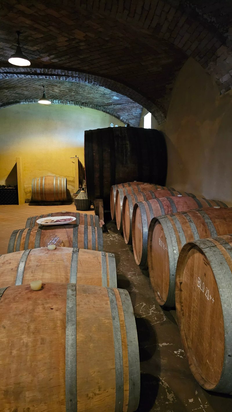 il Bosco delle Galline Volanti Agriristoro