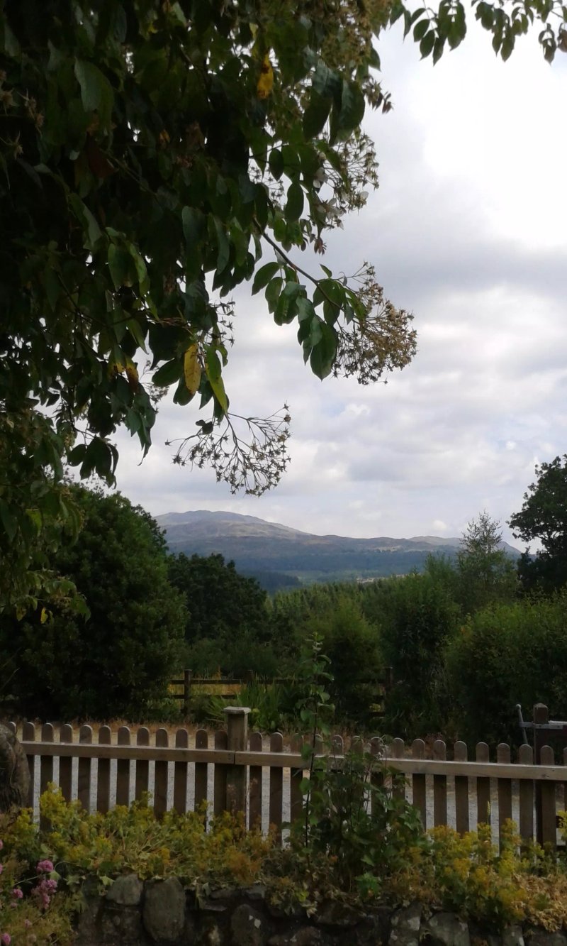 Maes yr Helmau Cottages