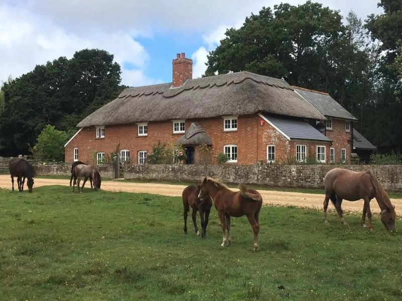 Thatched Cottage Bed and Breakfast