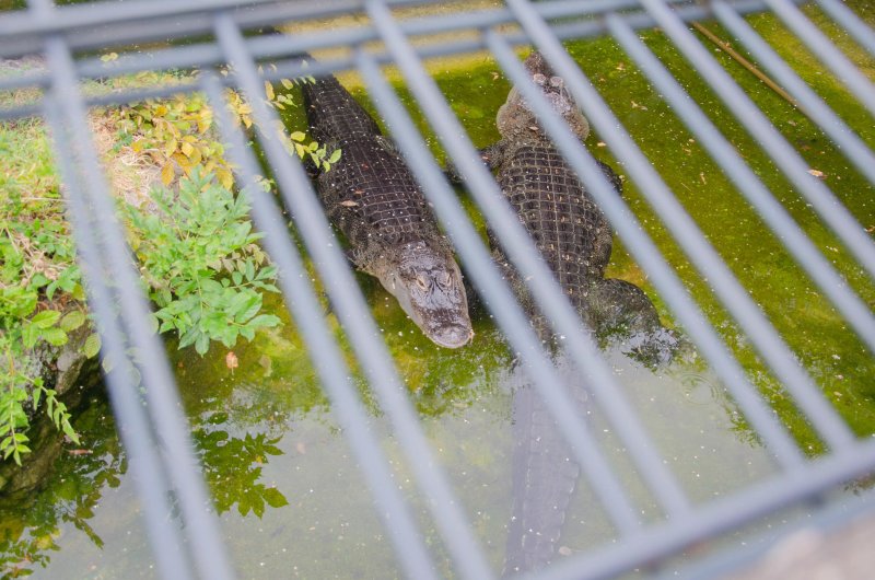 Reptilienzoo