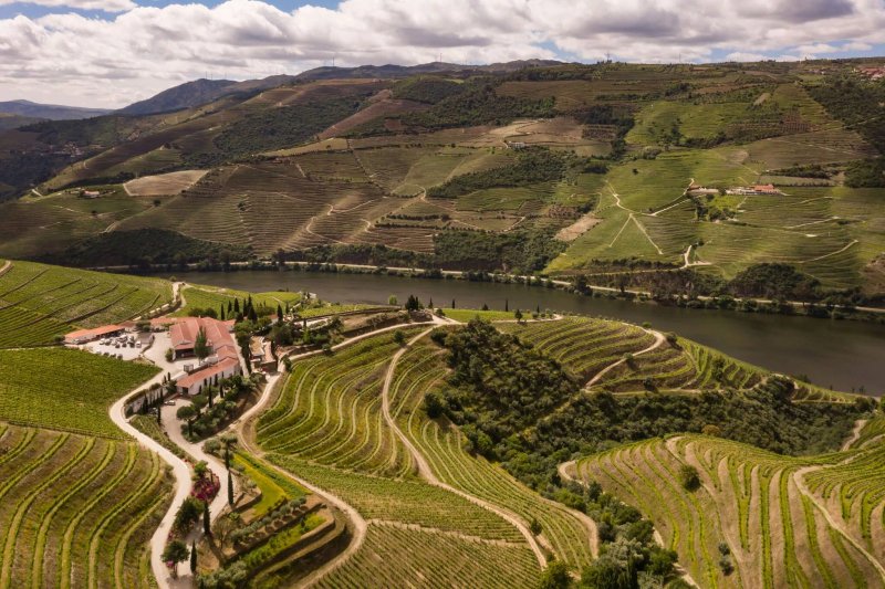 Terracu's Winery Restaurant
