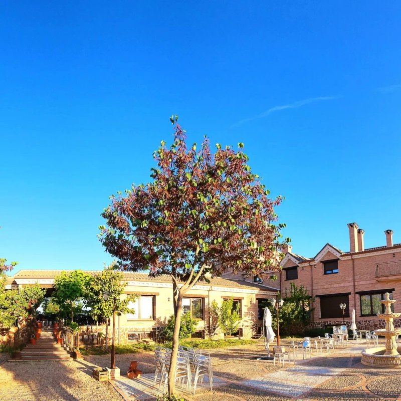 Spa Complejo Rural - Las Abiertas