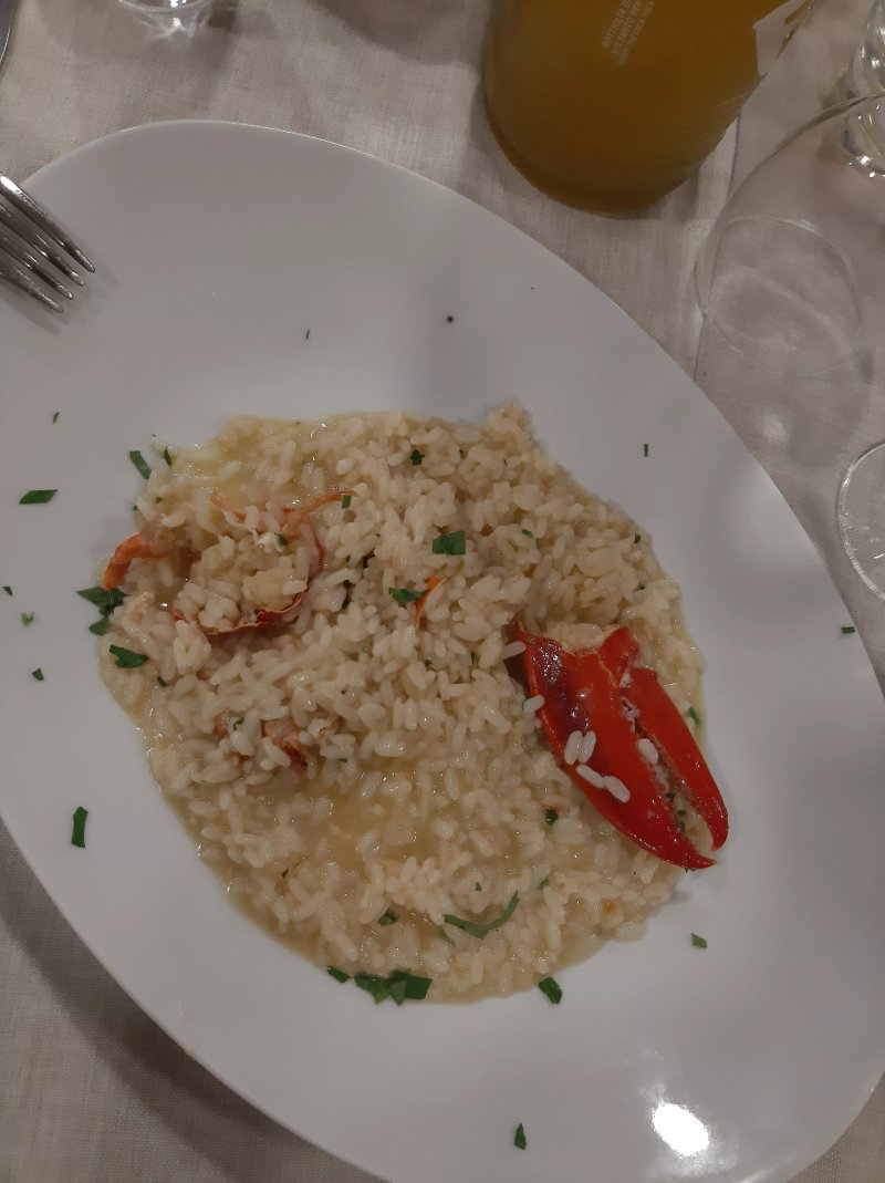 La Mimosa