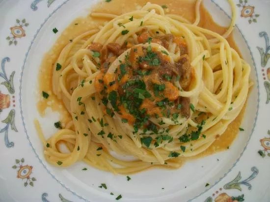 La Gorgonia