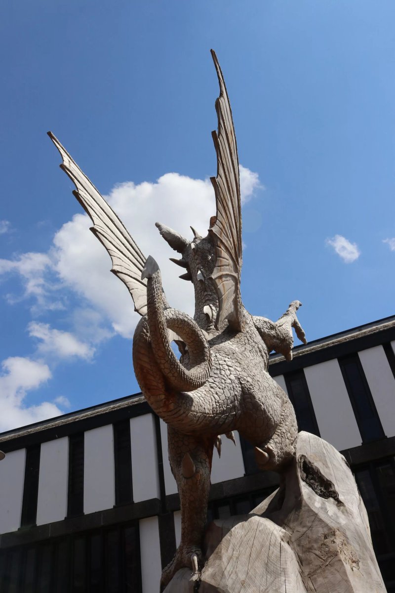 The Taunton Dragon