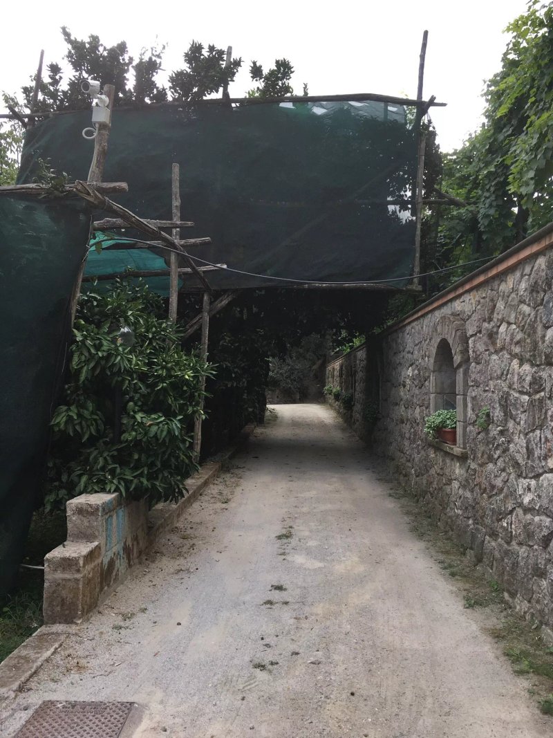 Il Casale Sorrento