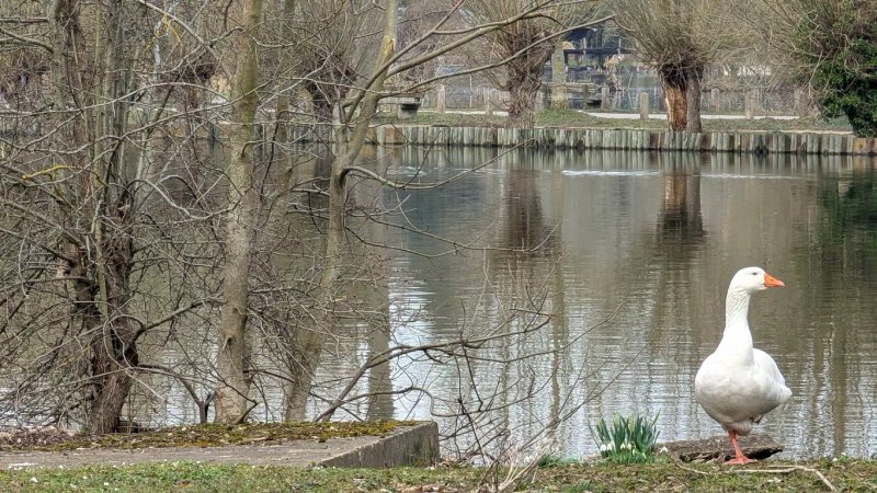 Le Chalet des Etangs