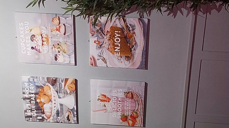 Camelia Bakery