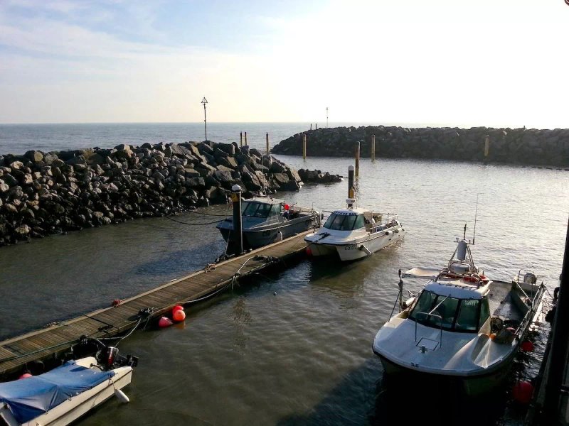Ventnor Haven Fishery Takeaway