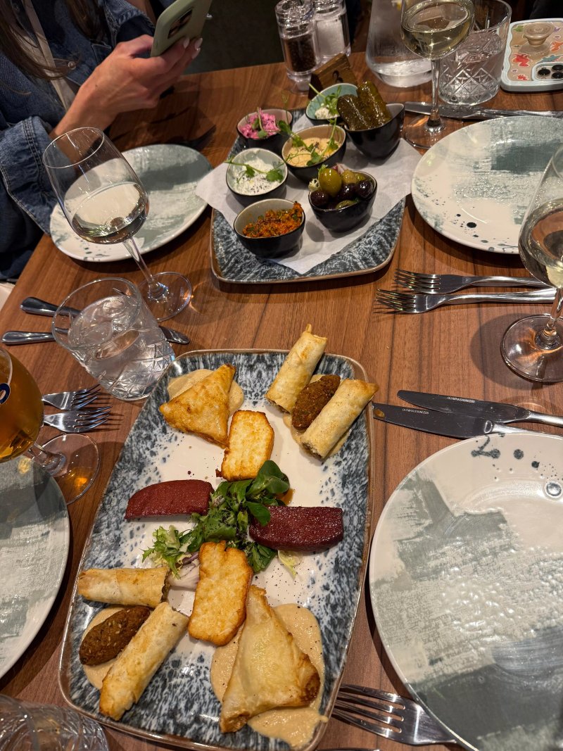 Efes Turkish Grill House