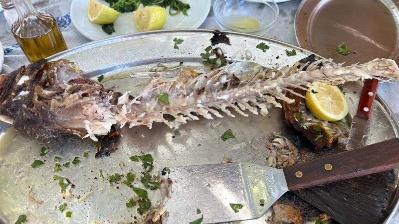 Fish Tavern Captain Fidias