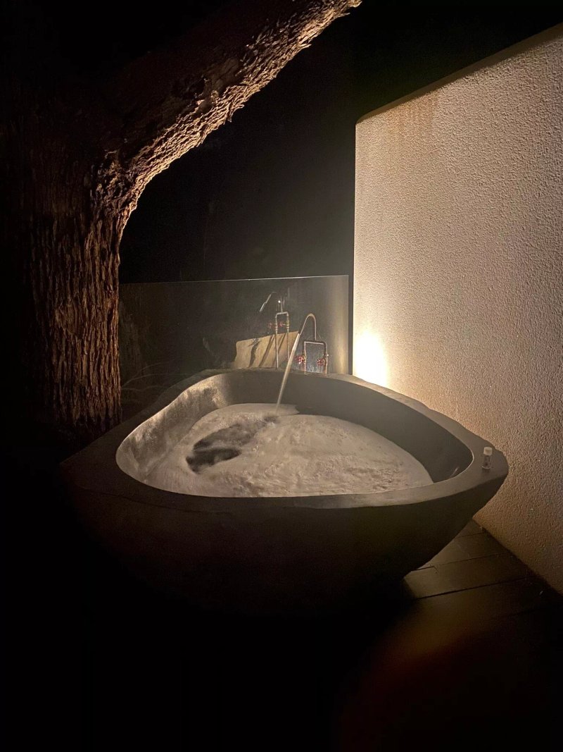 Hotel Botaniq