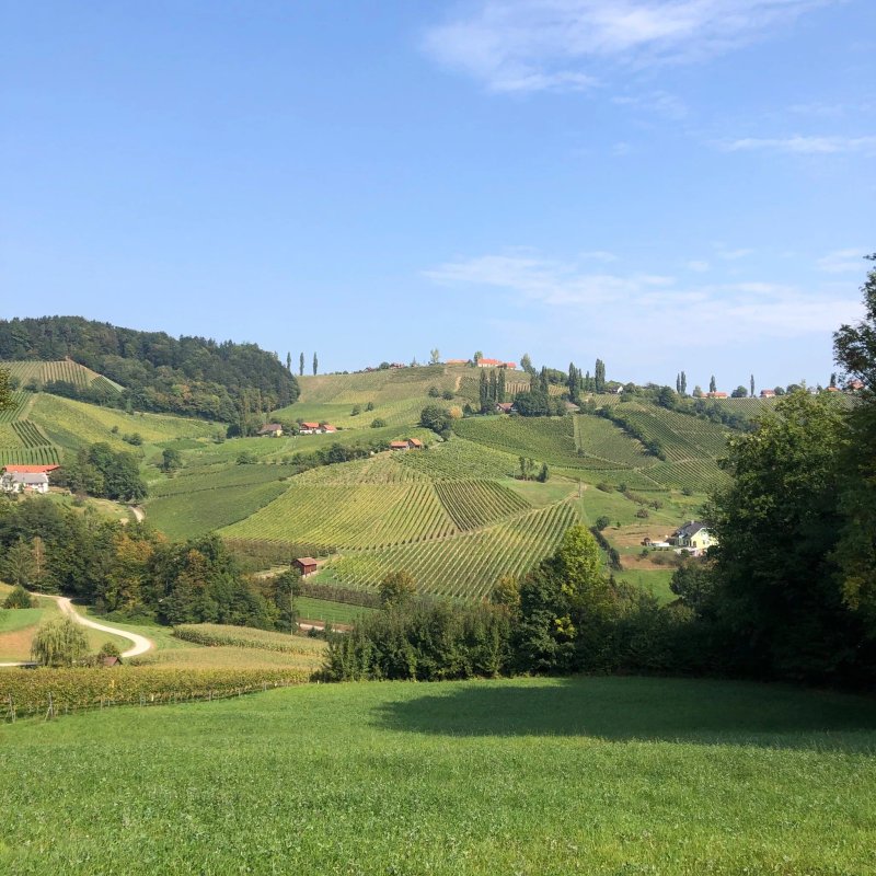 Winzarei Weingut Tement