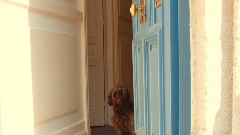 C'est Une Maison Bleue