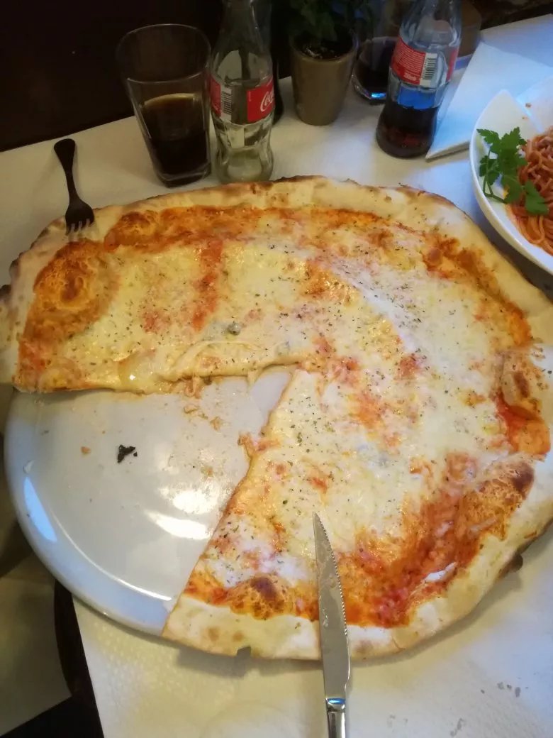 Il Bosco