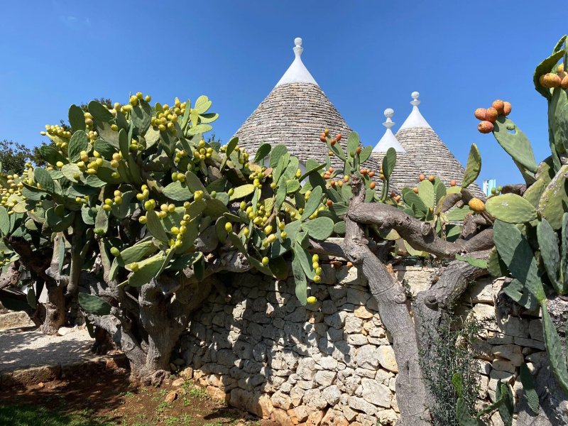 Masseria Camarda
