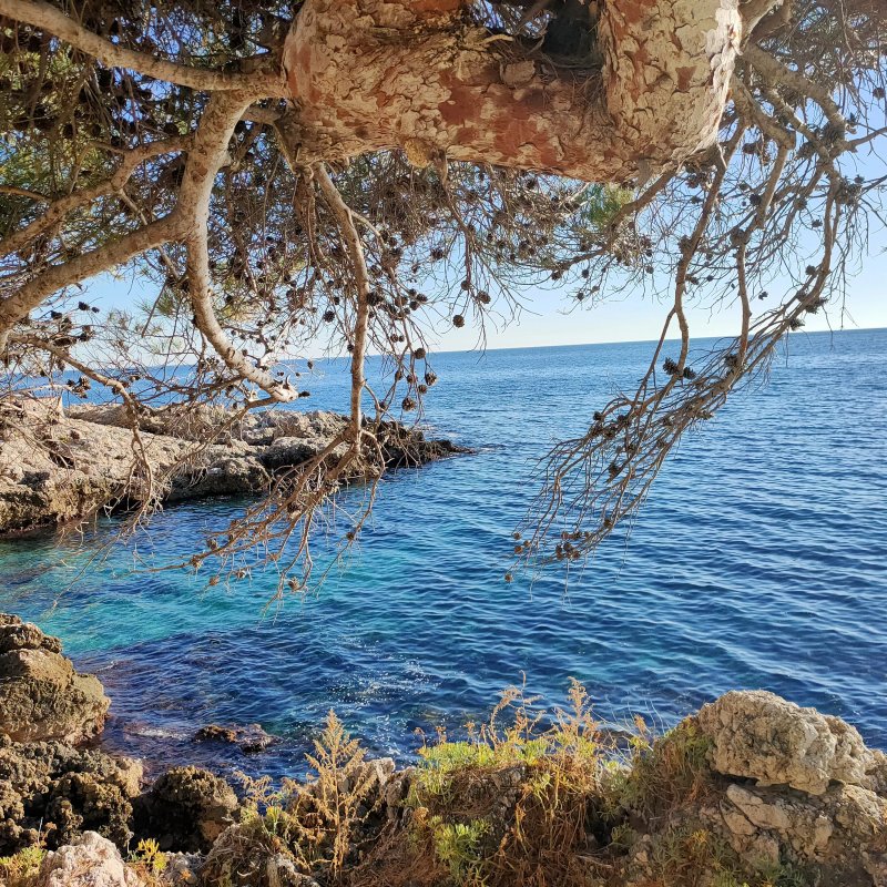 Villa Azur