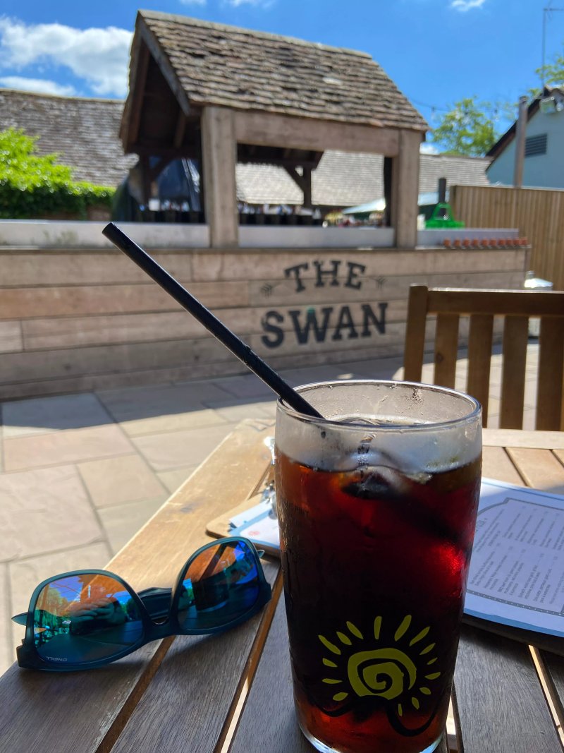 The Swan