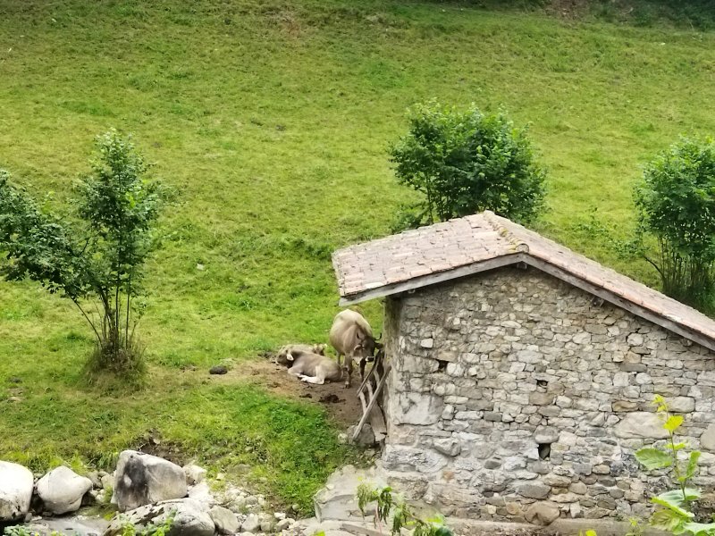 Hotel Rural La Carasca