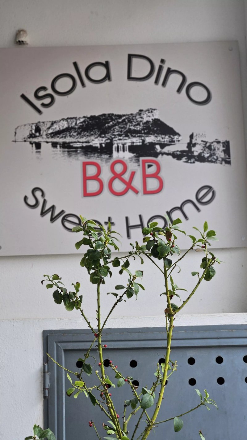 IsolaDino B&B sweet home