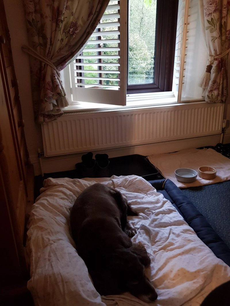 The Cables B&B