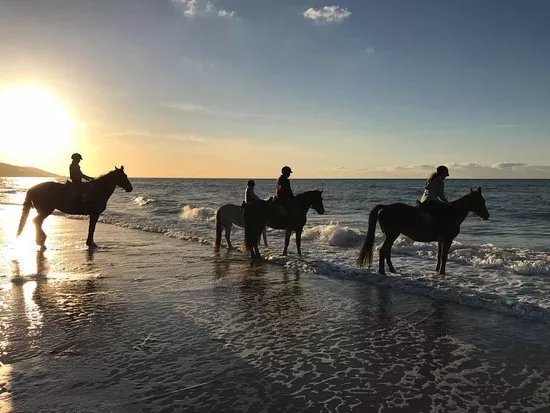Centre Equestre de Blonville Sur Mer