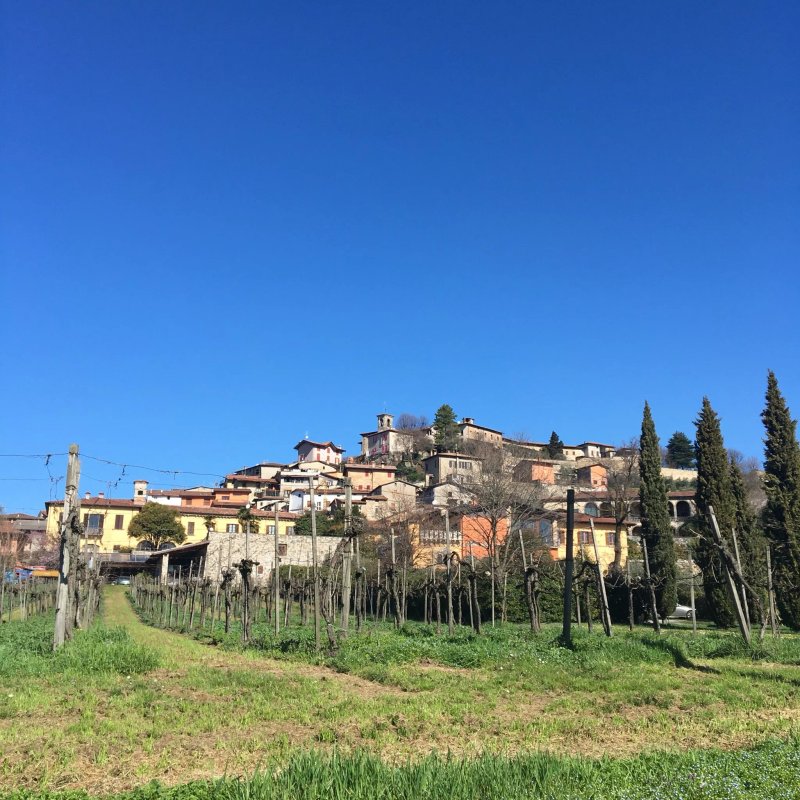 Corte Lantieri