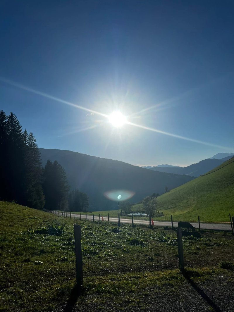Berggasthof Sattelbauer