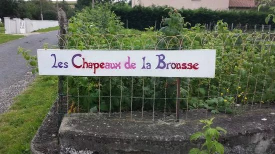 Les Chapeaux de La Brousse