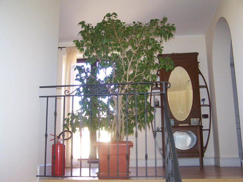 Casa Manzella