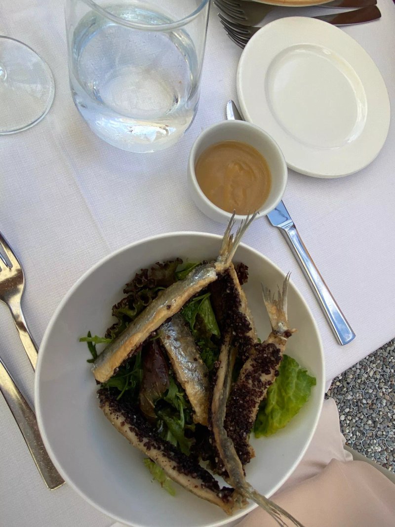 Ristorante MOMI