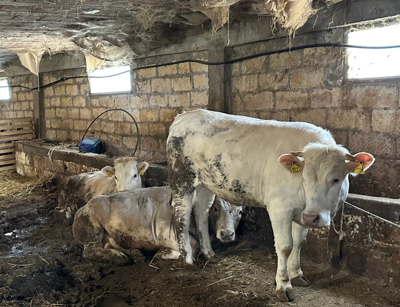 Le Mangiatoie del Re Giordano